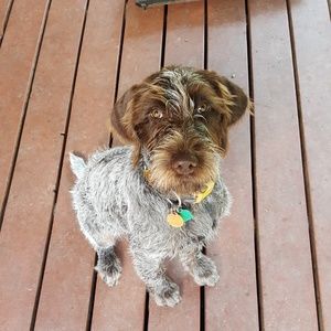 Meet your Posher, Samamtha